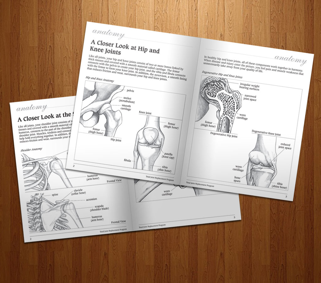 Anatomy illustration and publication sample